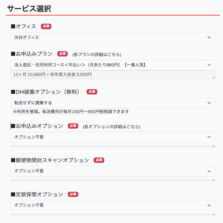 バーチャルオフィス1 オプション選択